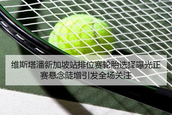 维斯塔潘新加坡站排位赛轮胎选择曝光正赛悬念陡增引发全场关注 - LEYU